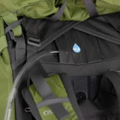 Osprey Aether 55 Backpack L/XL Mustard Green -Goedkope Koffert Rein Winkel image 14657