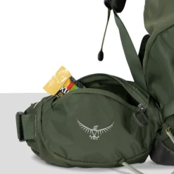 Osprey Kestrel 58 L/XL Bonsai Green -Goedkope Koffert Rein Winkel image 17628