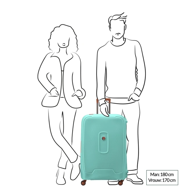 Delsey Moncey 4 Wheel Trolley 76 Almond 2 Delsey Moncey 4 Wheel Trolley 76 Almond - Afbeelding 2