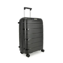 Decent Explorer Trolley 66 Black -Goedkope Koffert Rein Winkel image 8628