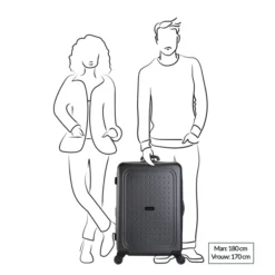 Decent Maxi Air Trolley 77 Expandable Champagne 9 Decent Maxi Air Trolley 77 Expandable Champagne -Goedkope Koffert Rein Winkel image 9016