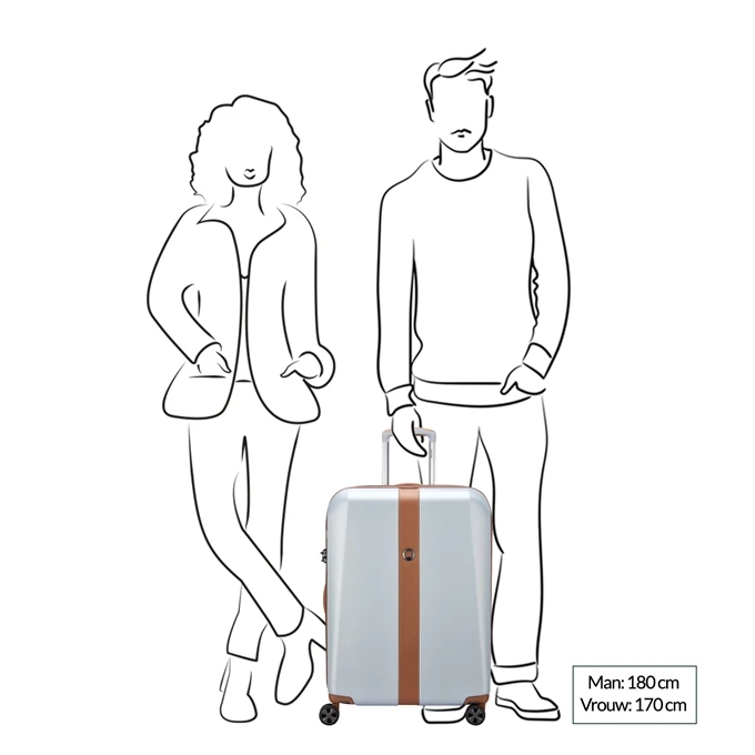 Delsey Promenade Hard 2.0 Expandable Trolley 66 Argent 2 Delsey Promenade Hard 2.0 Expandable Trolley 66 Argent - Afbeelding 2